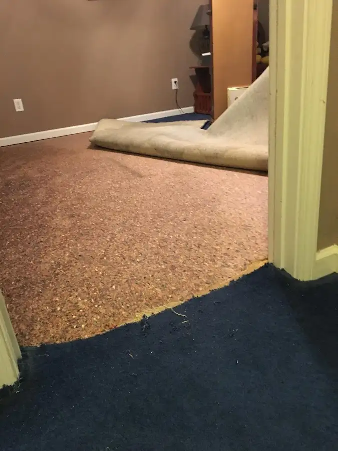 Carpet pad removal revealing water damage during Drying & Dehumidification in Mayfield