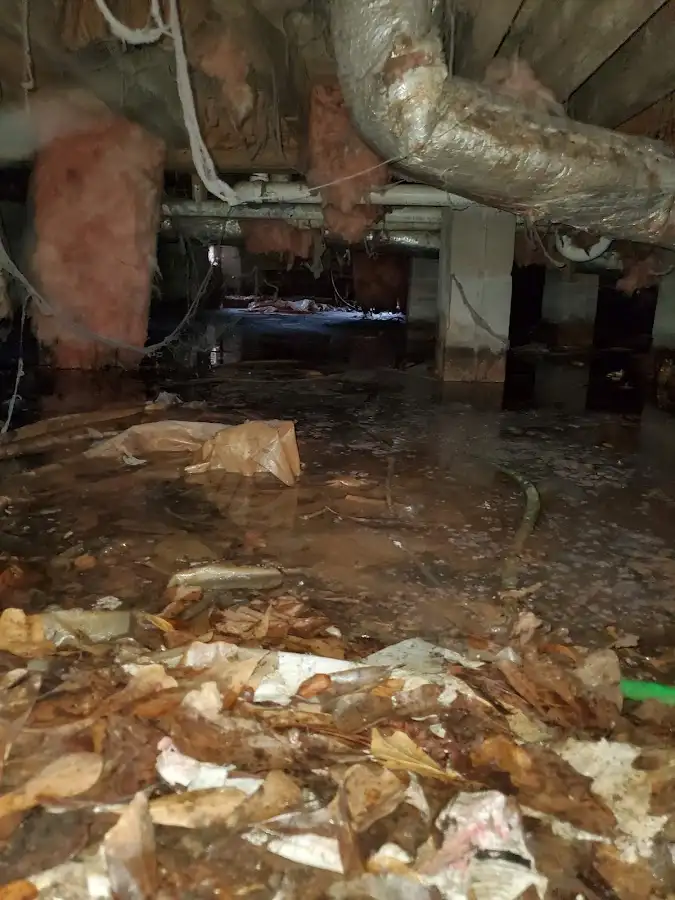 Crawl space flood assessment for Leak Detection & Repair in Mayfield